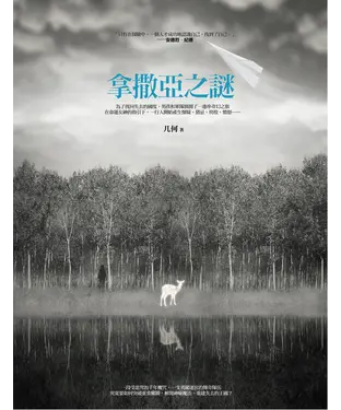 書封 拿撒亞之謎